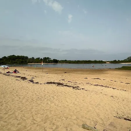 Un Cocon De Serenite * Gujan-Mestras