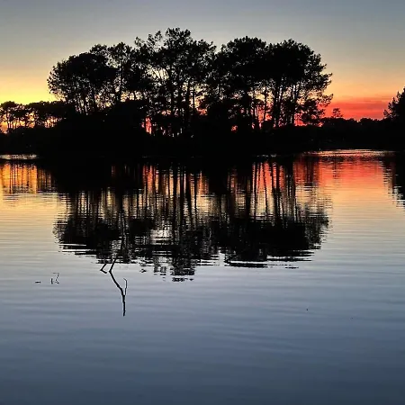 Un Cocon De Serenite Apartament *