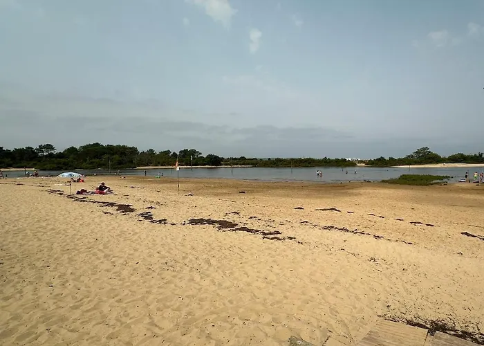 Un Cocon De Serenite * Gujan-Mestras