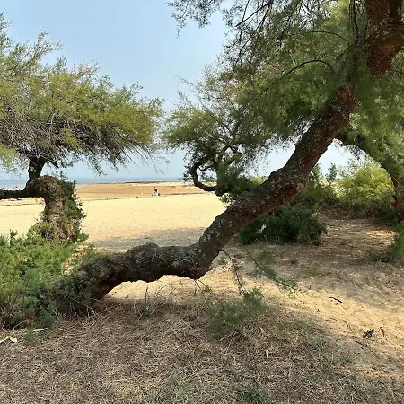 Un Cocon De Serenite *