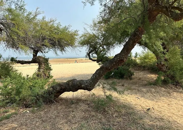 Un Cocon De Serenite *